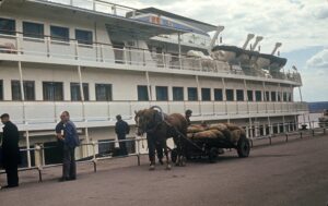 Ульяновск, лошадь речпорт теплоход
